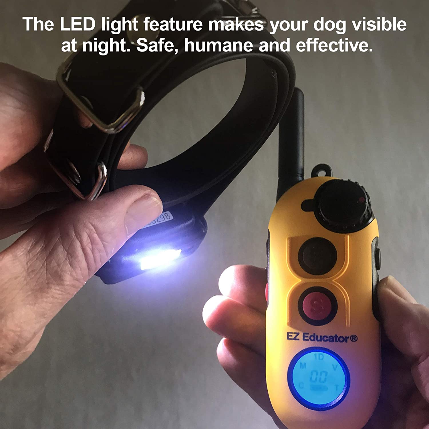 E-Collar Technologies EZ-902 2-Dog Easy Educator Remote Dog Trainer