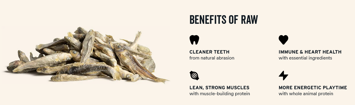 Vital Essentials Minnows Freeze-Dried Treats