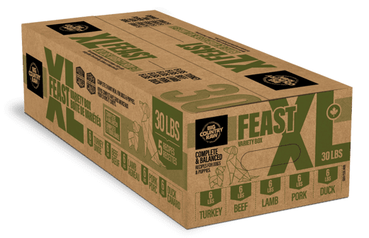 BCR XL Feast