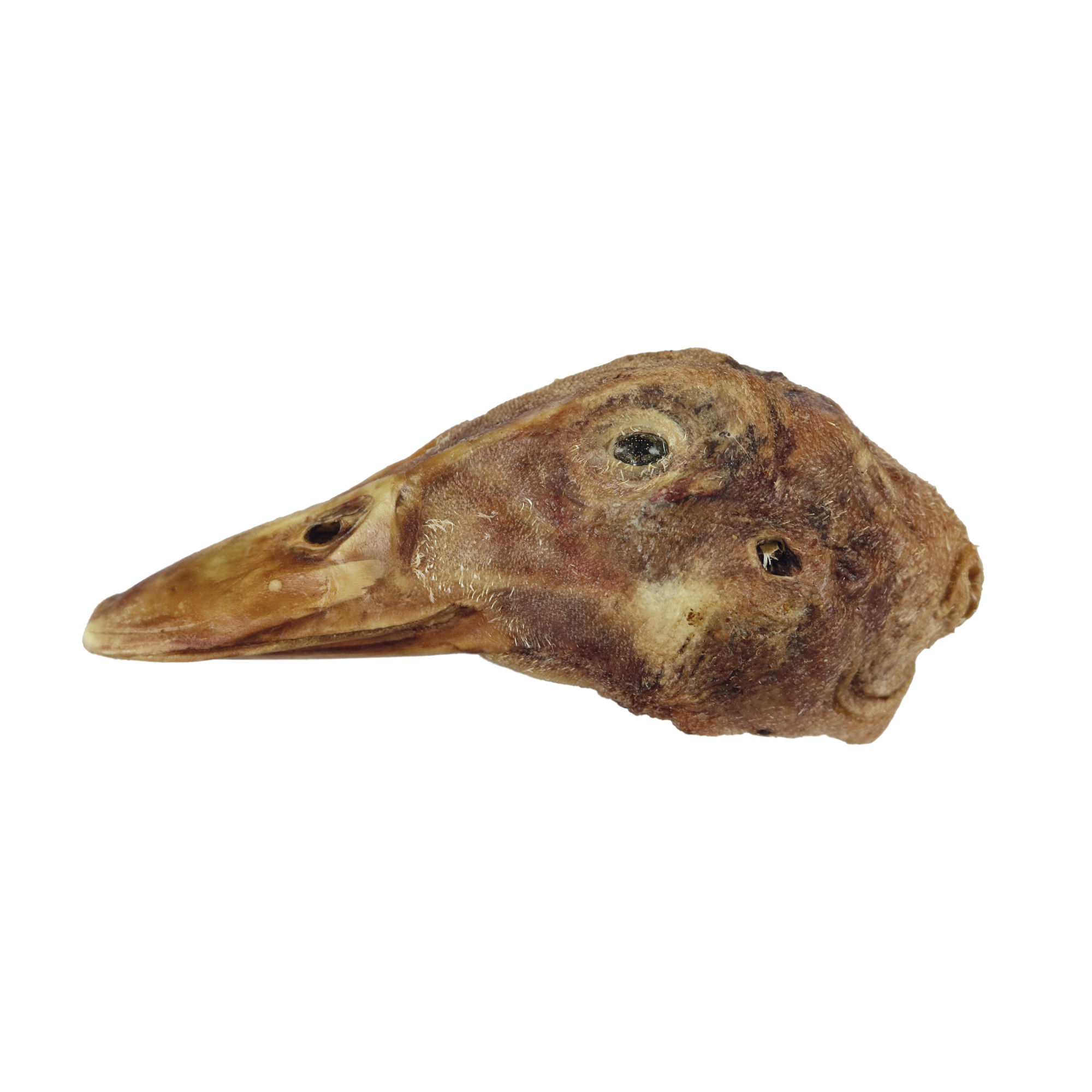 Dried duck heads clearance for dogs