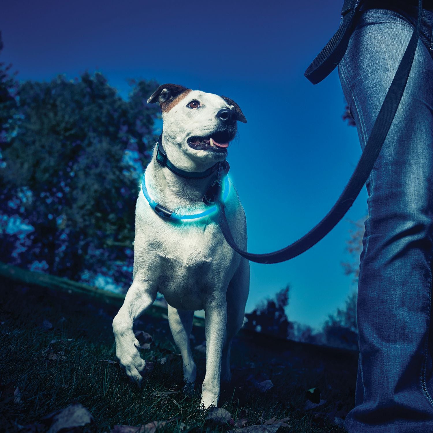 NiteHowl LED Safety Necklace