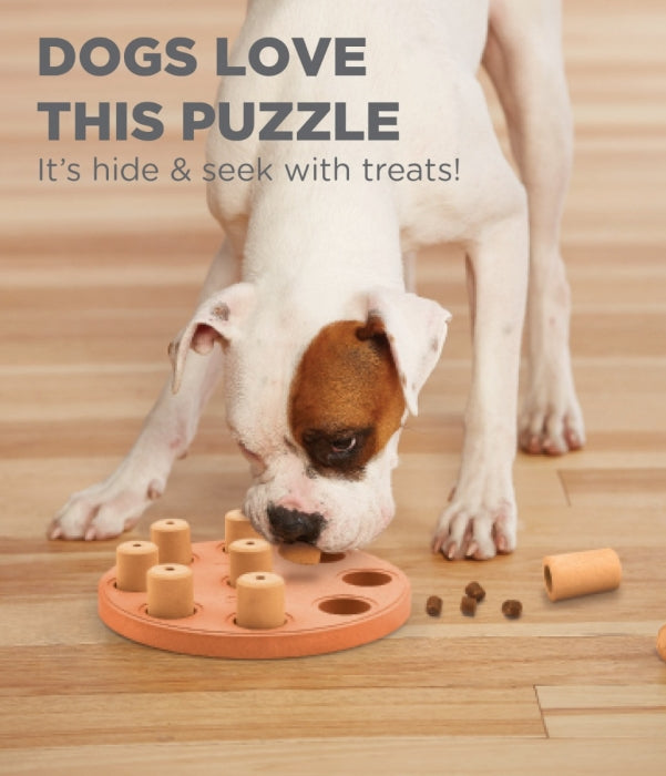 Outward Hound® Nina Ottosson® Dog Smart Composite Dog Puzzle