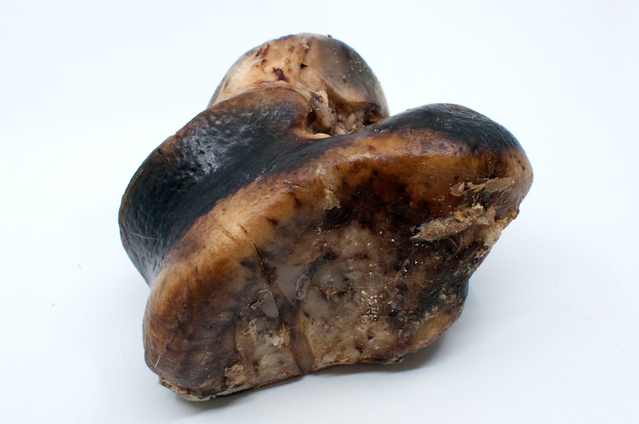 Smoked Knuckle