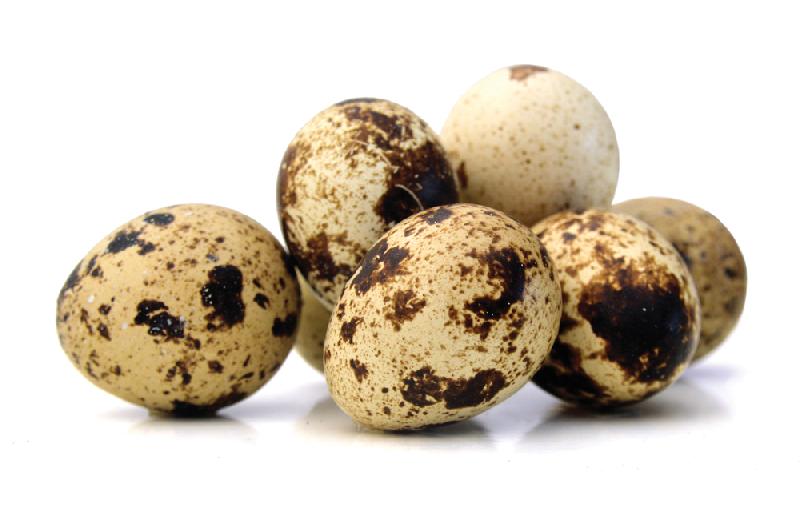 Quail Eggs 18/pkg