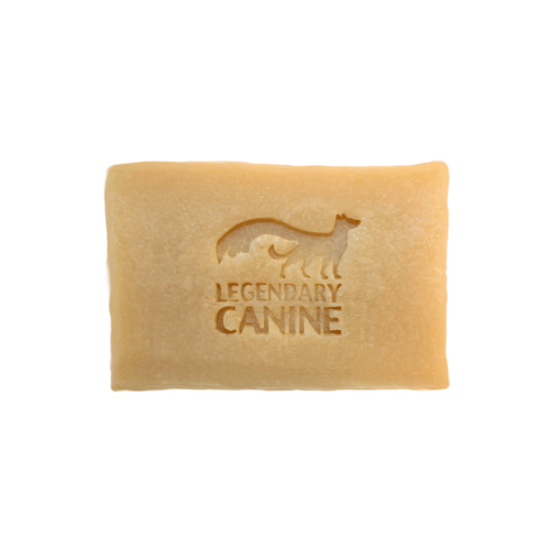 The Fluffy Carnivore Pet Food Market, Order Online, Visit our website, Free Local Delivery, Oakville, Mississauga, Toronto, Ontario, Raw Pet Food, High Quality Clothes, Dog Toys, Cat Toys, Bowls, Dog Beds, Cat Baskets, Collars, and Leashes, Big Country Raw, Dehydrated Treats.