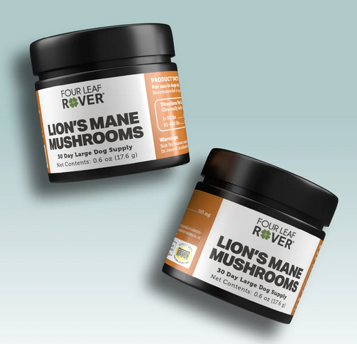 Four Leaf Rover Lions Mane - Organic Mushroom Extract