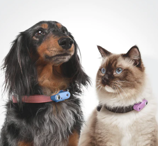 Tickless Mini Dog Chemical-Free Tick and Flea Repellent