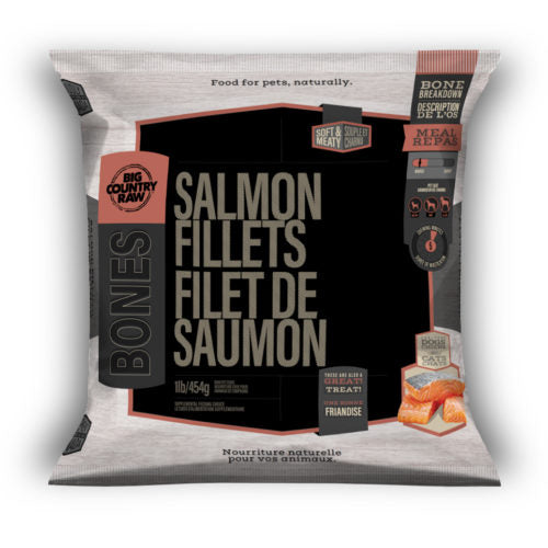 Salmon Fillets