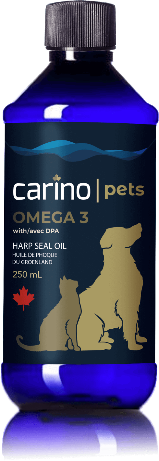 Carino Seal Oil 500ml