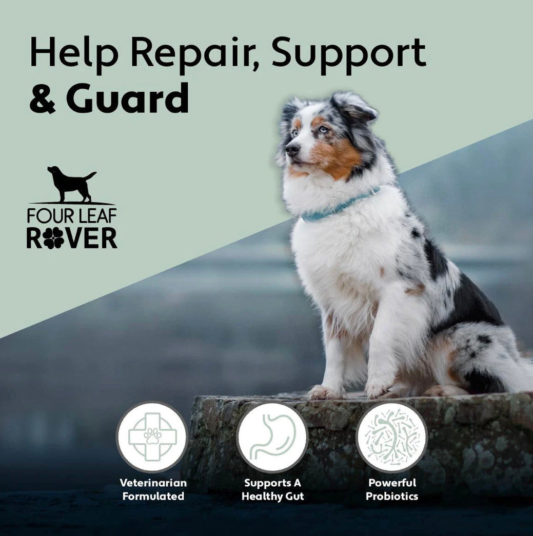 Four Leaf Rover Gut Guard