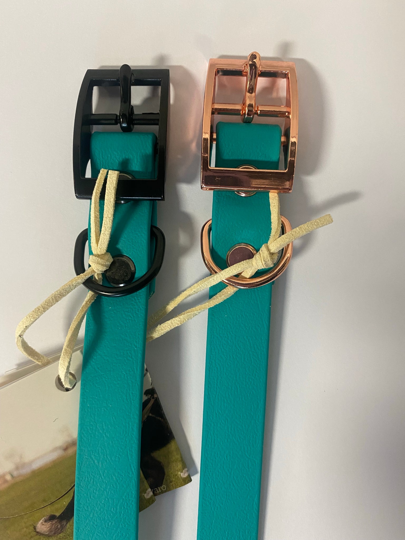 Biothane Turqouise Collar