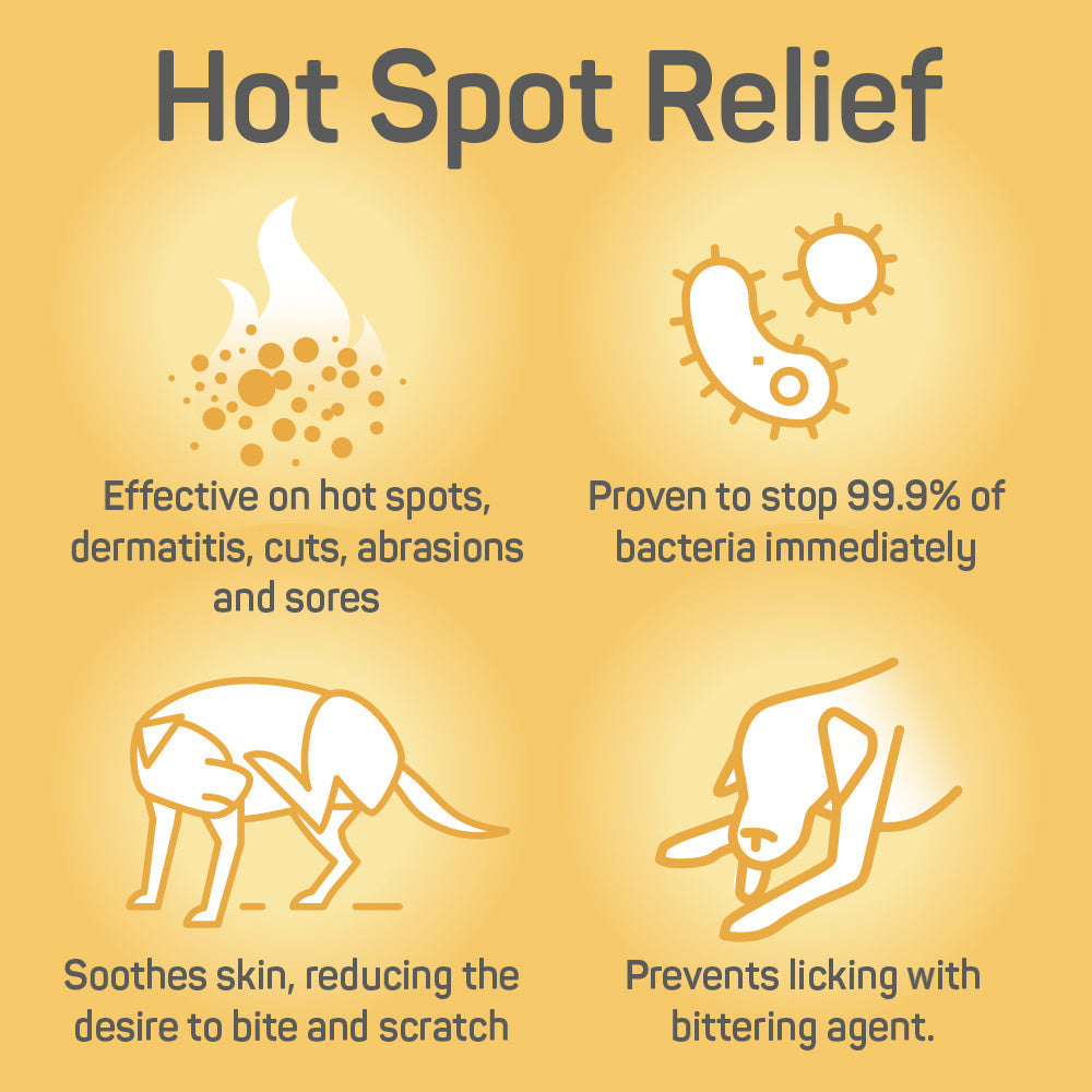 Silver Honey Hot Spot & Wound Care
