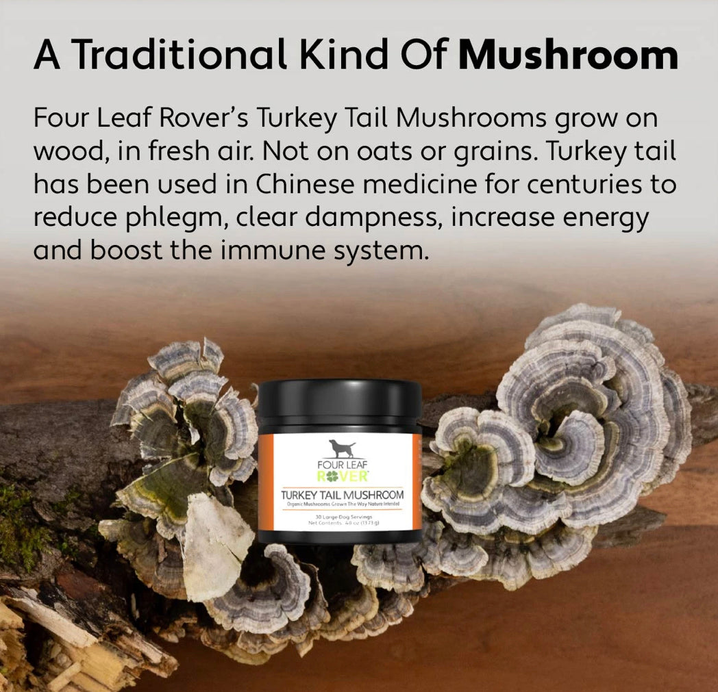 Four Leaf Rover Turkey Tail - Organic Mushroom Extract