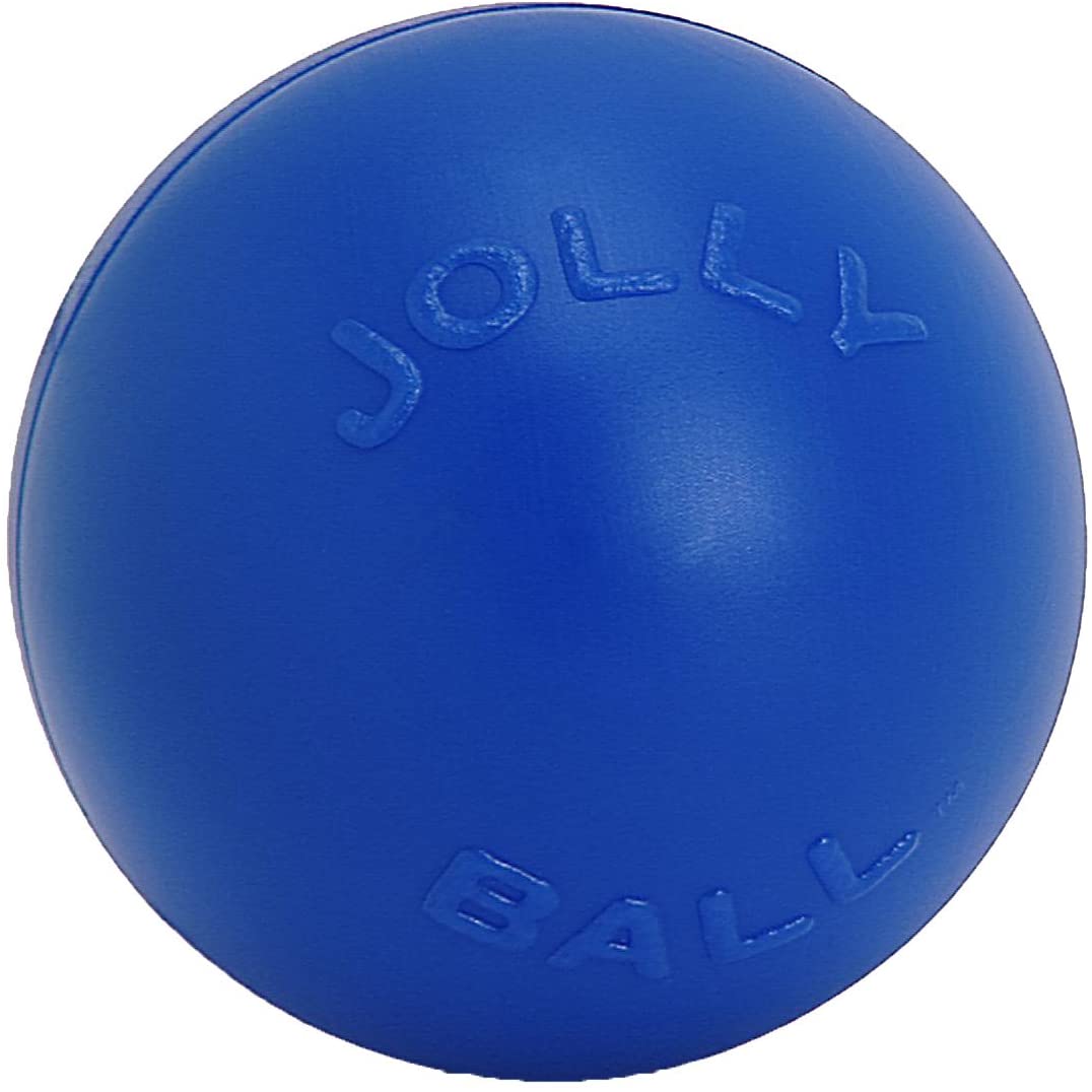 Jolly Pets Push-N-Play Ball