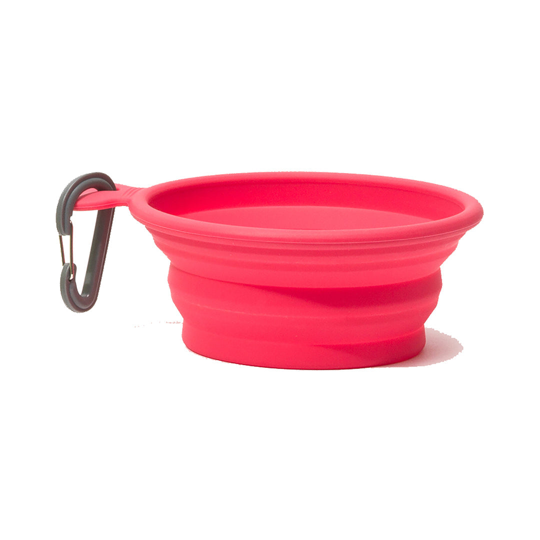 Collapsible Dog Bowl