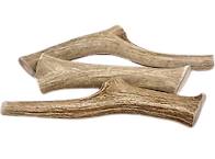 Antler Chew