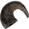 Open Range Water Buffalo Horn