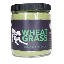 Organic Wheatgrass: Superfood For Dogs