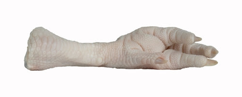 Raw Turkey Feet